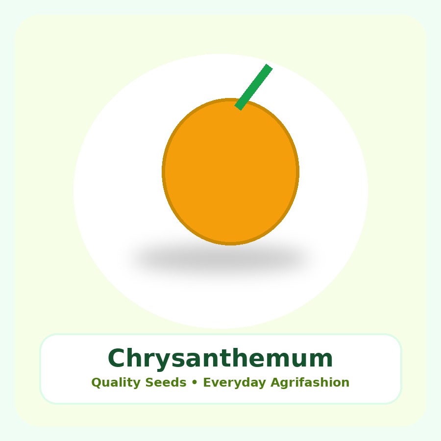 Chrysanthemum Seeds 25 Seeds