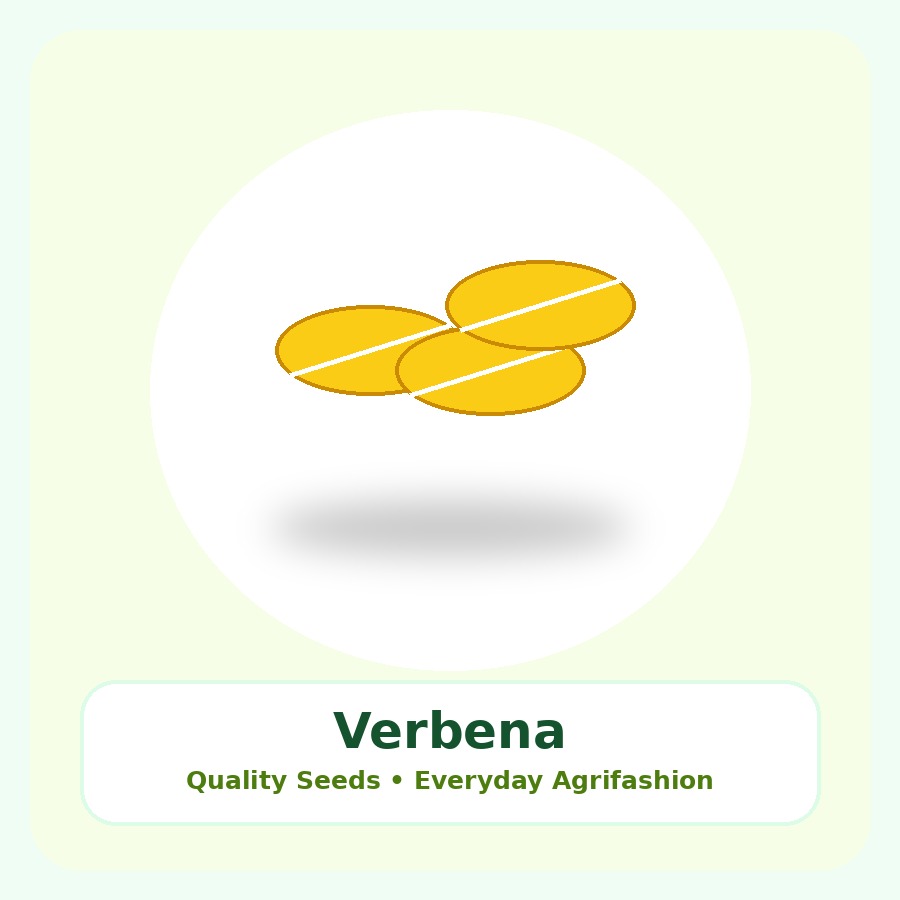Verbena Seeds 100 Seeds