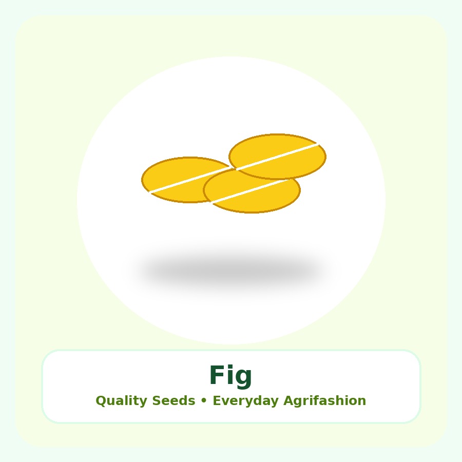 Fig Seeds 100 Seeds