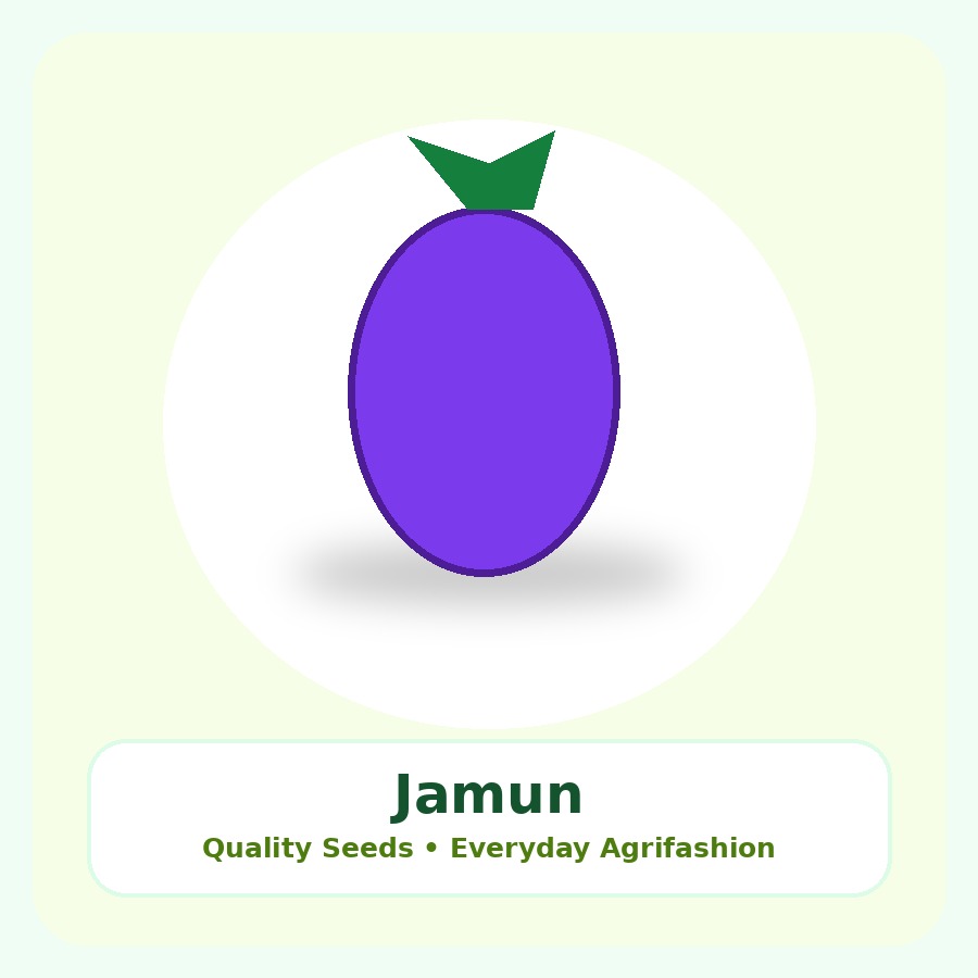 Jamun Seeds 10 Seeds
