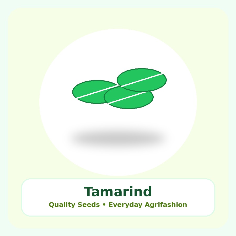 Tamarind Seeds 100 Seeds