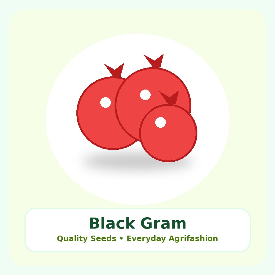 Black Gram Seeds 500g