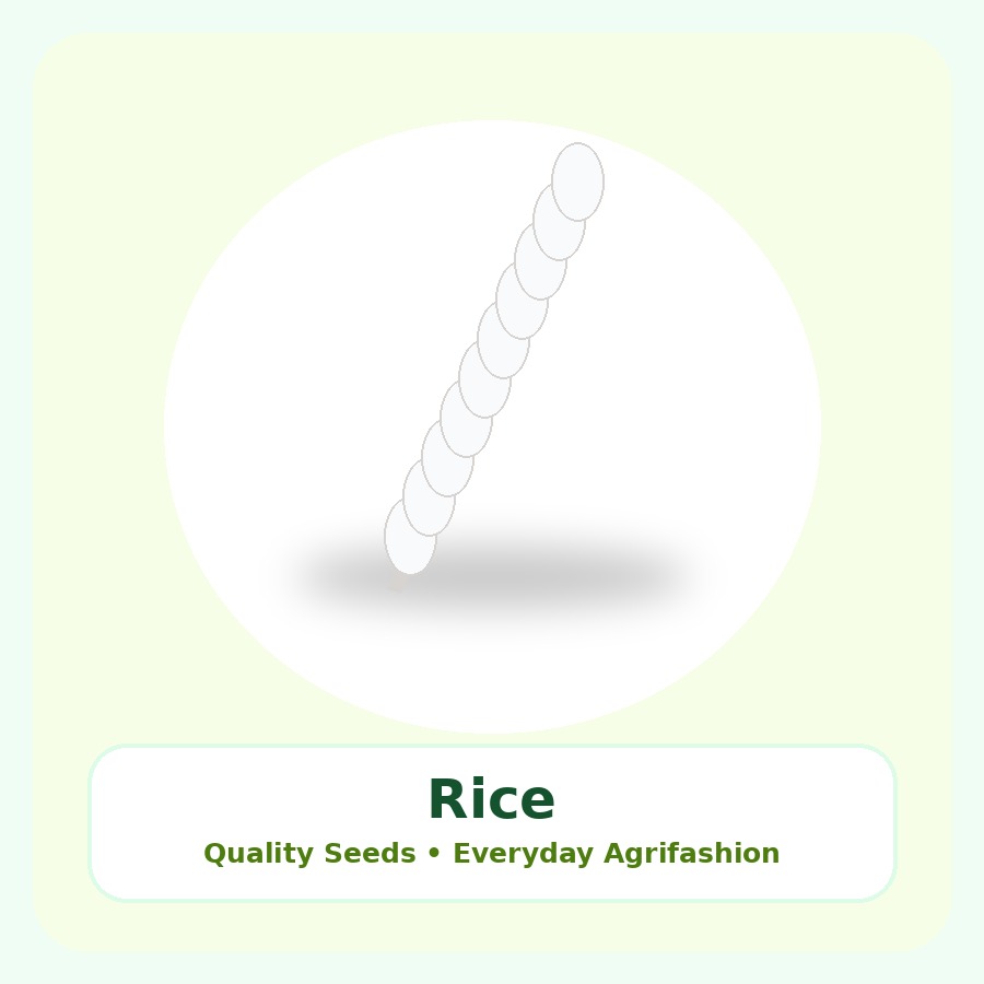 Rice Seeds 25kg