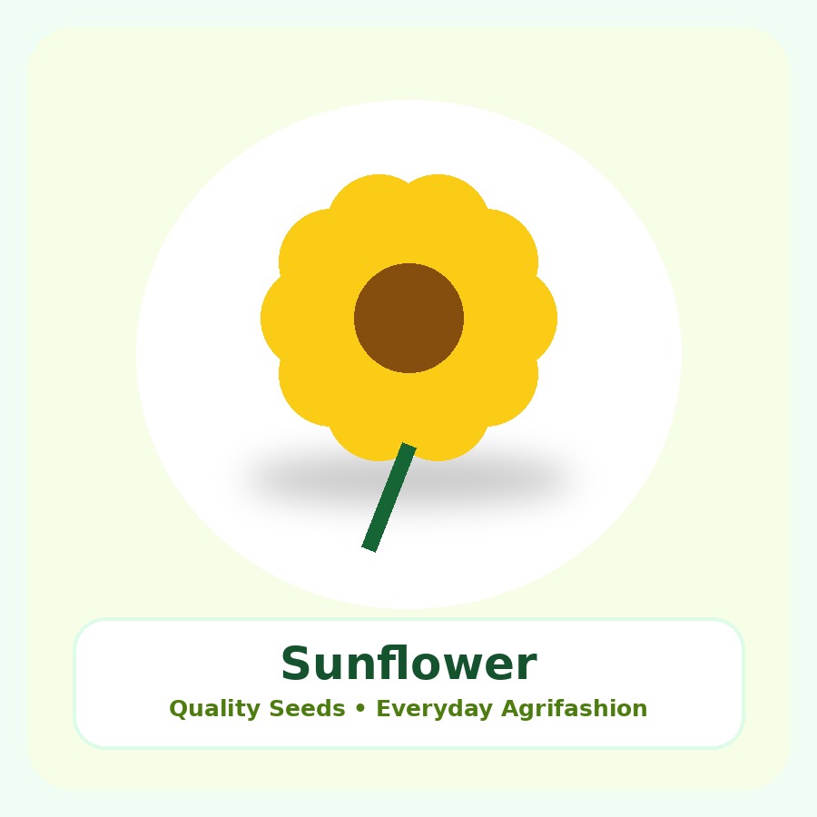 Sunflower Seeds 1kg