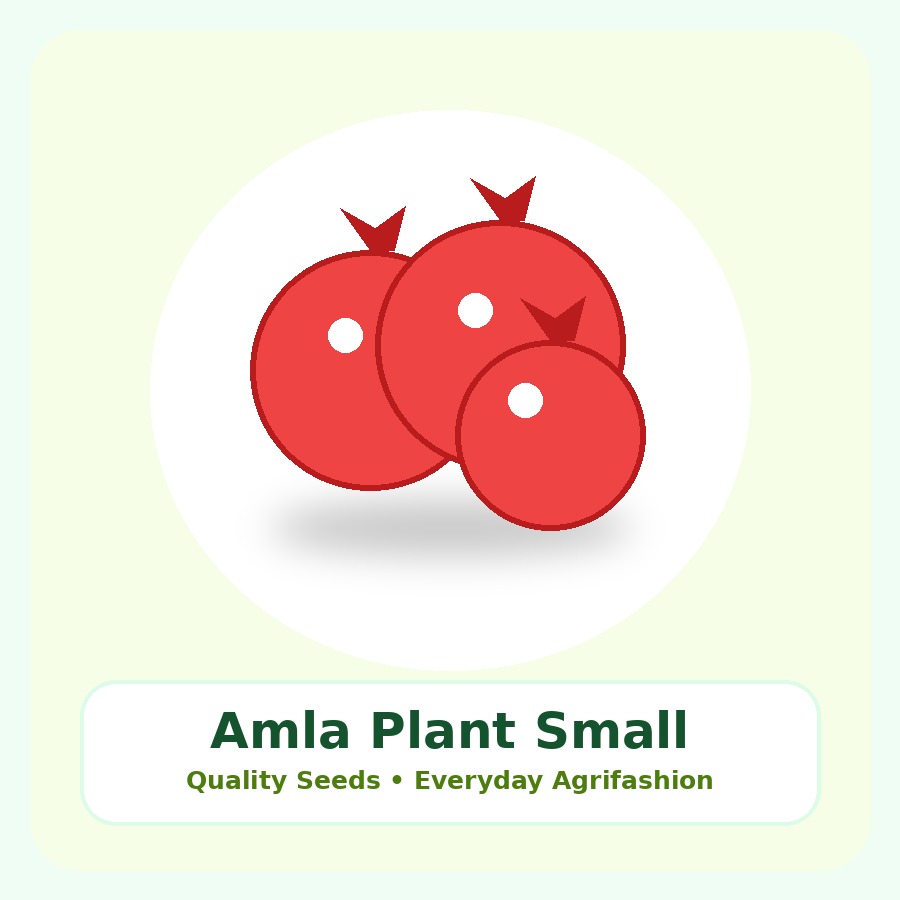 Amla Plant Small Nursery Bag