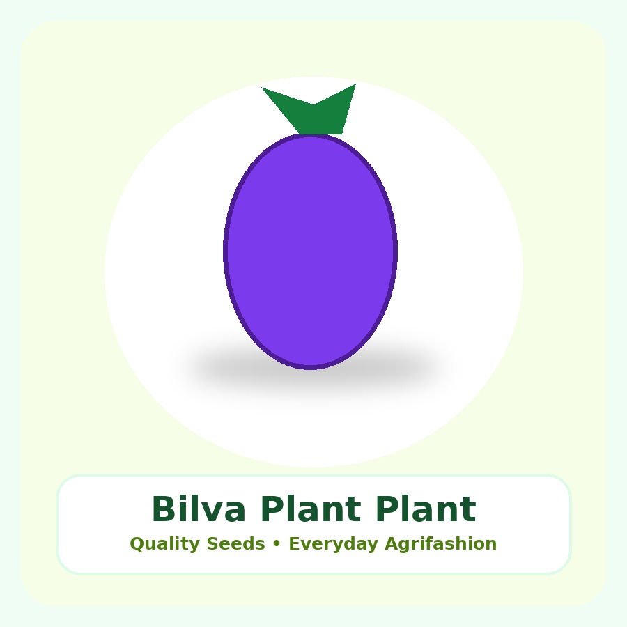 Bilva Plant Premium Plant