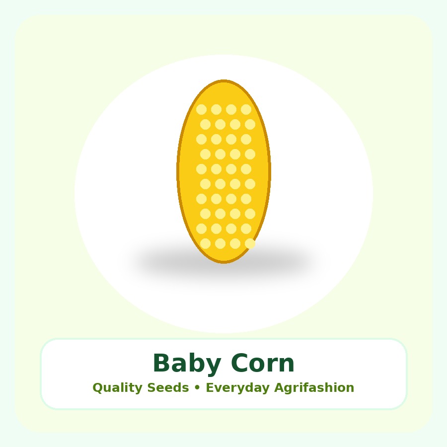 Baby Corn Seeds 500g