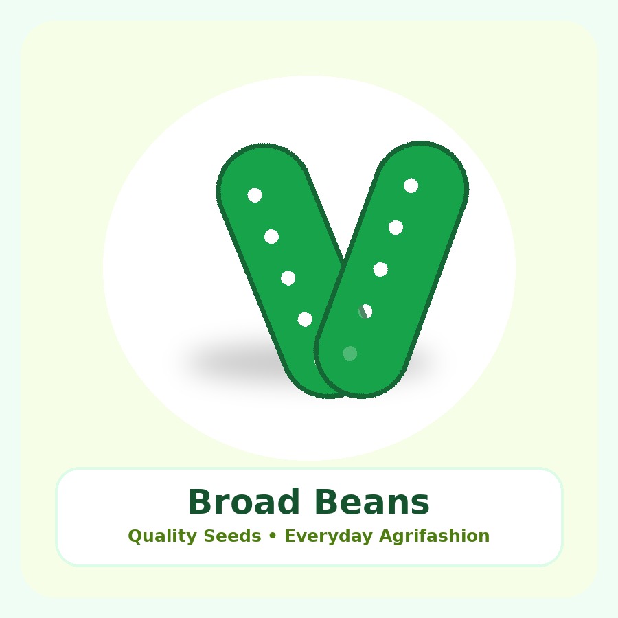 Broad Beans Seeds 100g