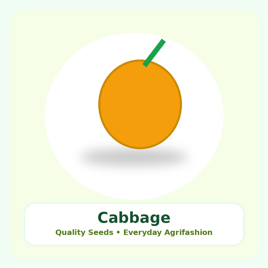 Cabbage Seeds 100g