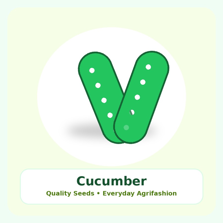 Cucumber Seeds 500g