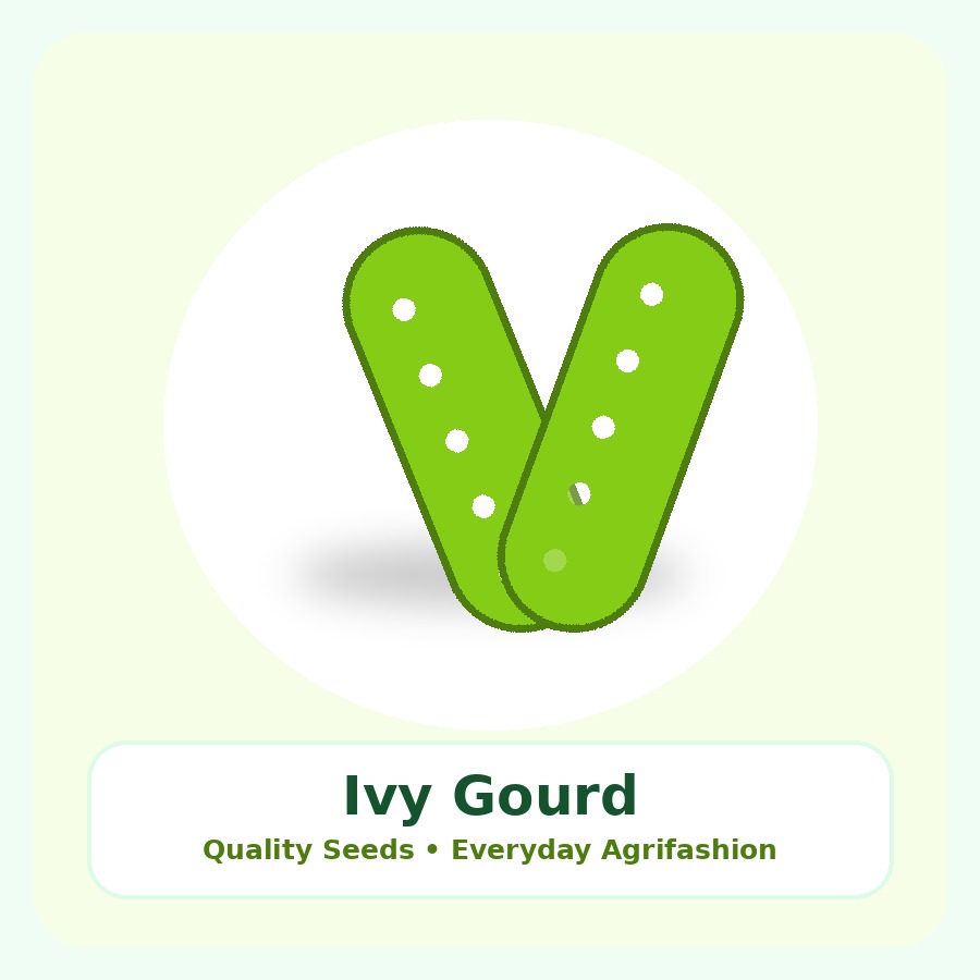 Ivy Gourd Seeds 100g