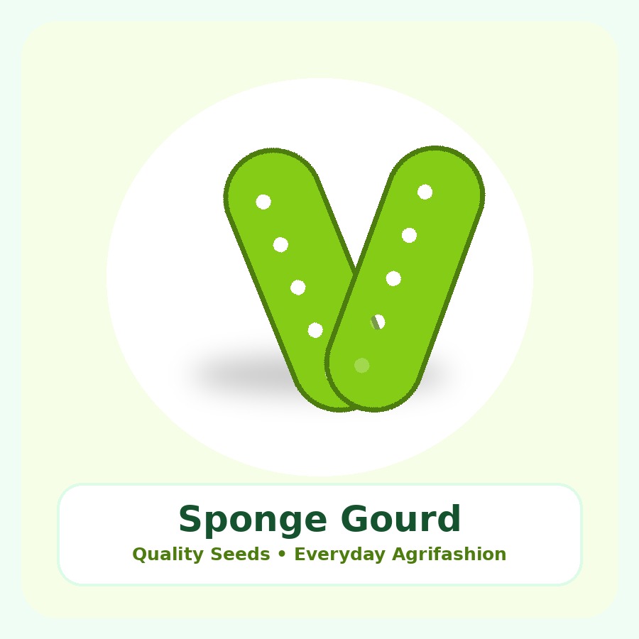 Sponge Gourd Seeds 25g