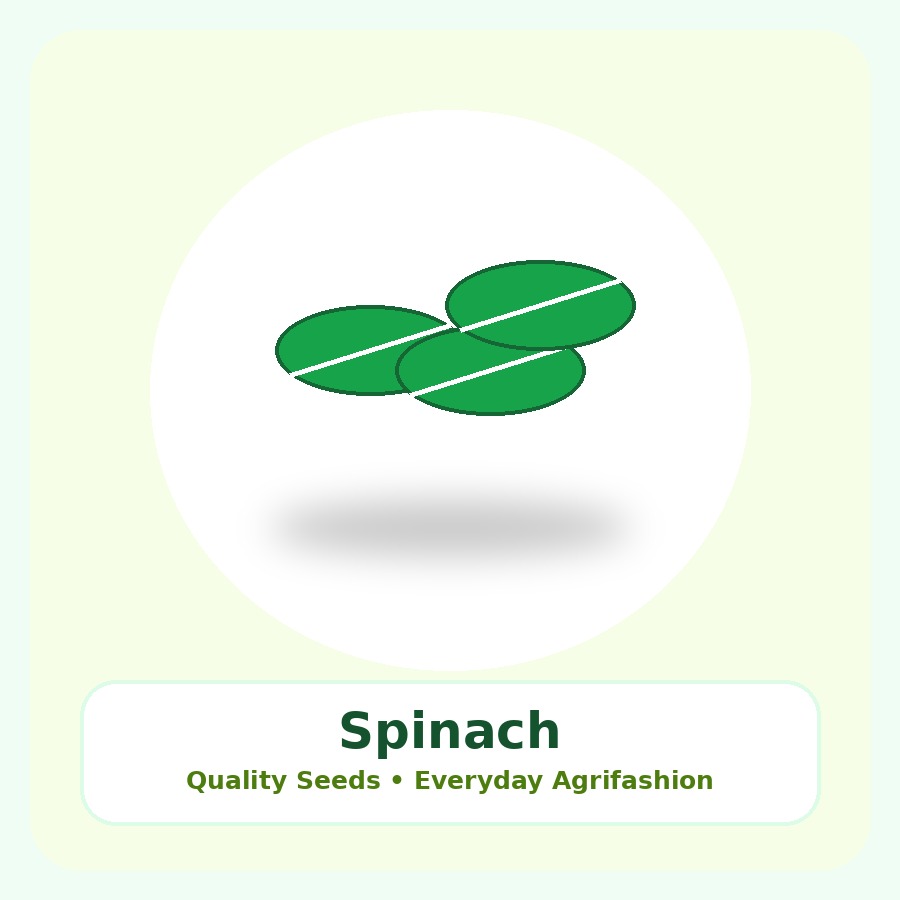 Spinach Seeds 1kg